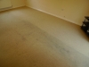 Carpet cleaning services
