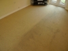 Steam carpet cleaning